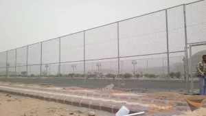 شبوك حيوانات