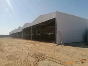 أنواع الساندوتش بنل